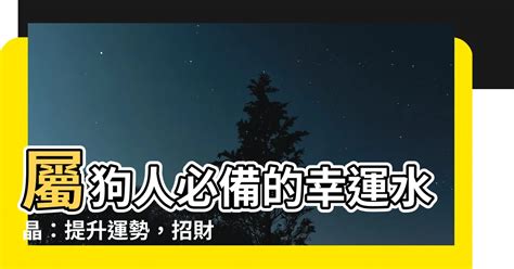 屬狗適合什麼水晶|2024屬狗年運勢：化解太歲必備水晶指南 